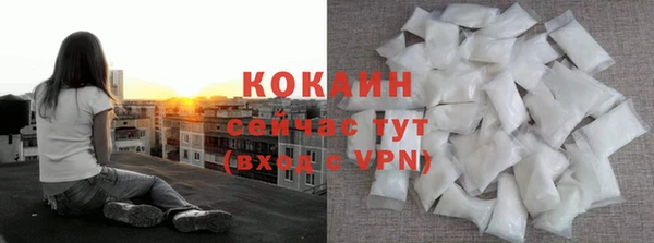 шишки Сосновый Бор