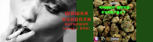 стаф Богородск