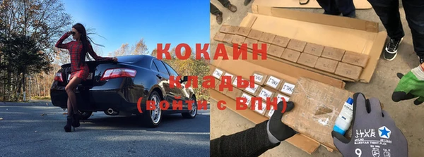 стаф Богородск